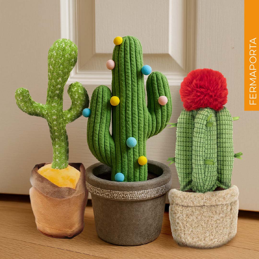 Fermaporta Cactus