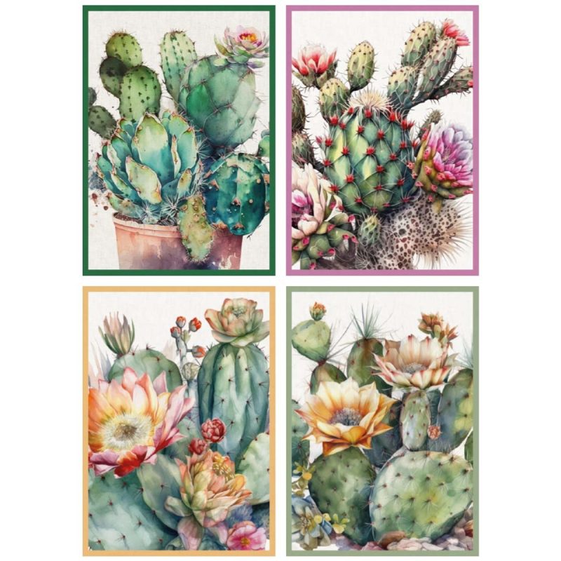 strofinacci 100% cotone Cacti