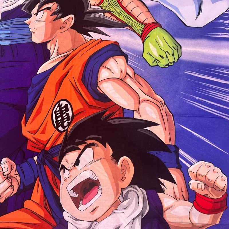 completo lenzuola dragonball