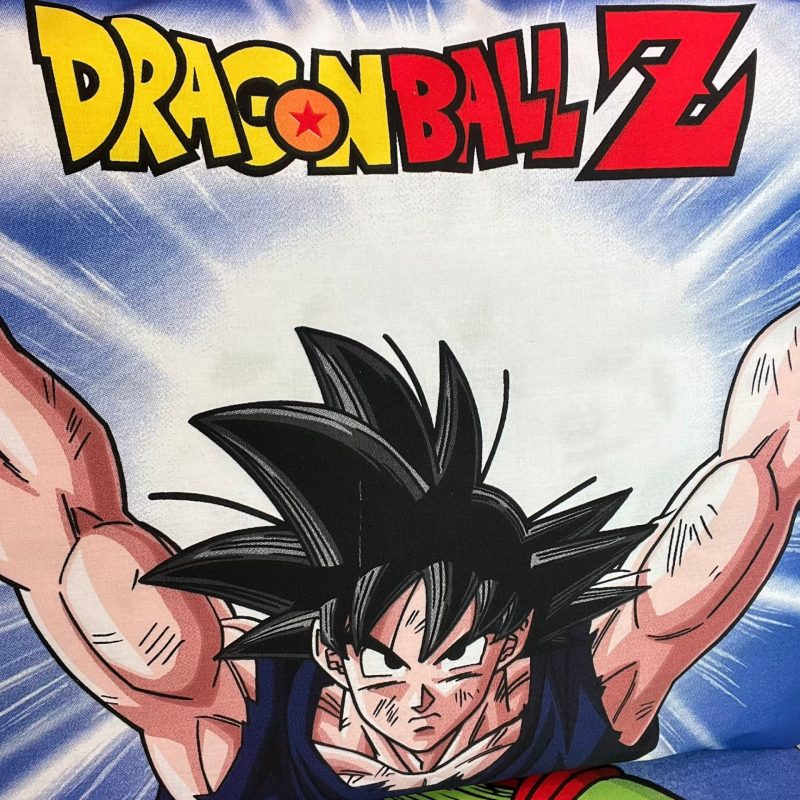 completo lenzuola dragonball